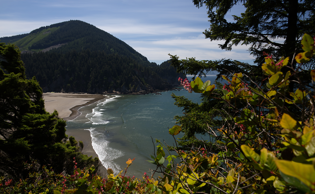 Oswald West State Park 1024x630